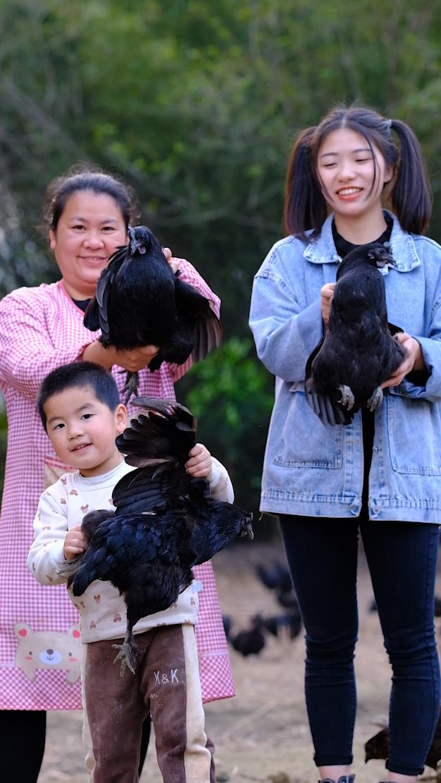 全身灰黑的鸟像鸡一样大不会飞,全身都是黑色的鸡