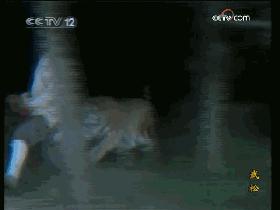 山东版武松祝延平第一集,祝延平扮演的武松无人能超越