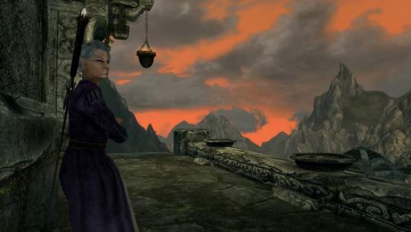 老滚最强mod,老滚五随从数量mod