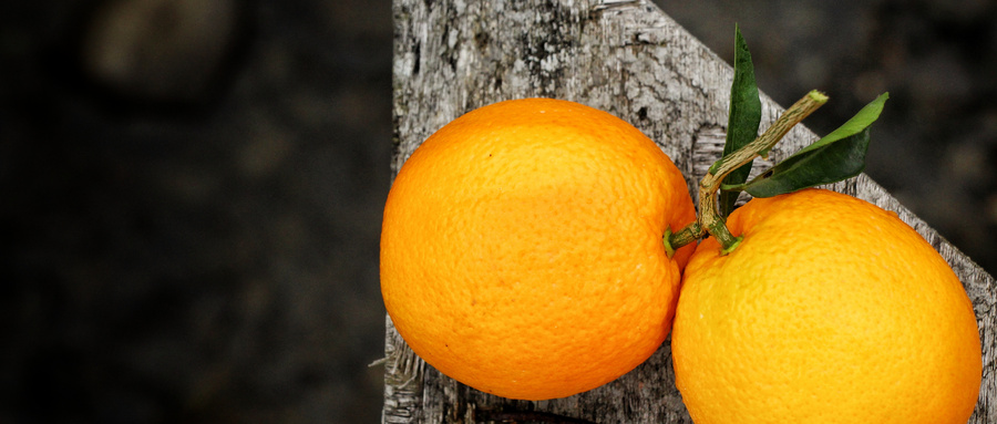 滞销中的麻阳冰糖橙出路在何方,麻阳冰糖橙的优点