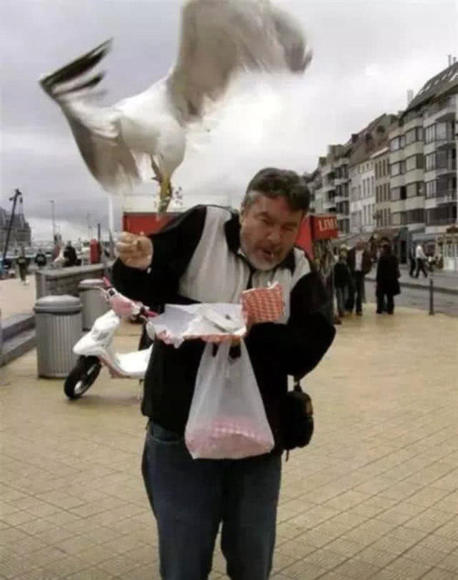 在澳洲的生活是一种怎样的体验：这边的人很懒，非常喜欢钓鱼