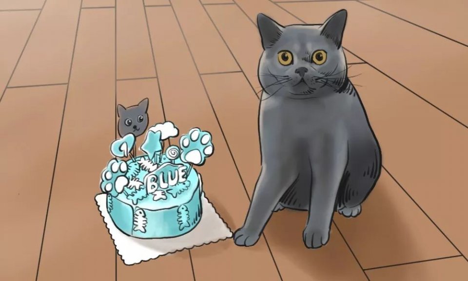 城市里养猫的人非富即贵,有多少人养猫家里有钱了