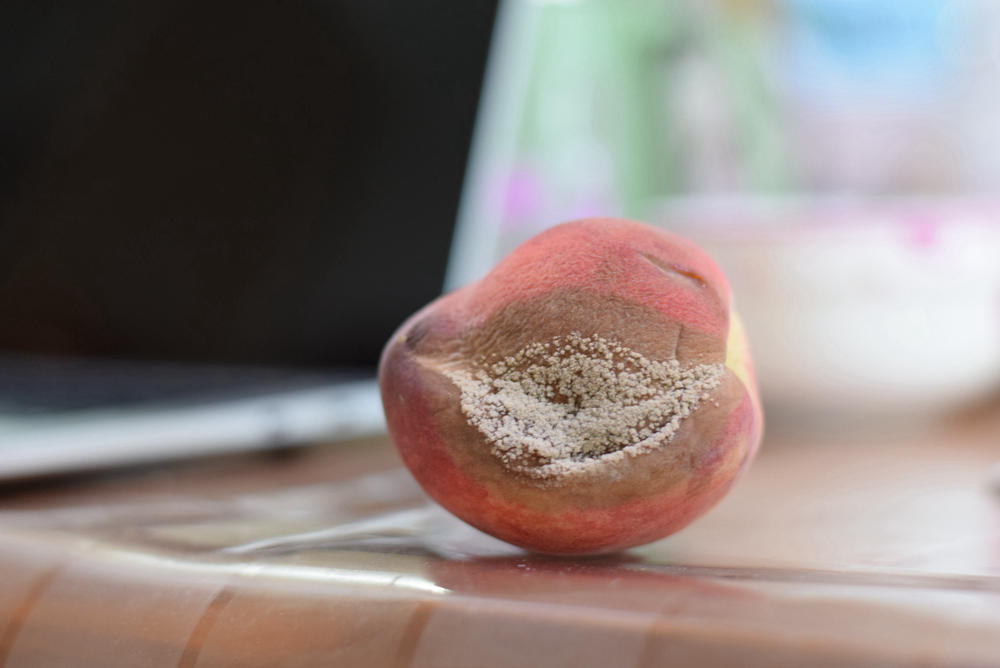 国货之光，彻底解决冰箱异味问题，体验后发现还支持手机操作