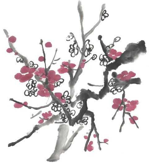 国画梅花上的雪画法步骤教程视频,零基础国画入门画梅花教程