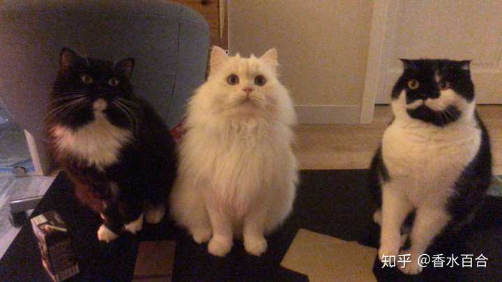 买了高层的人怎么样了,买了顶楼的房子后悔了吗