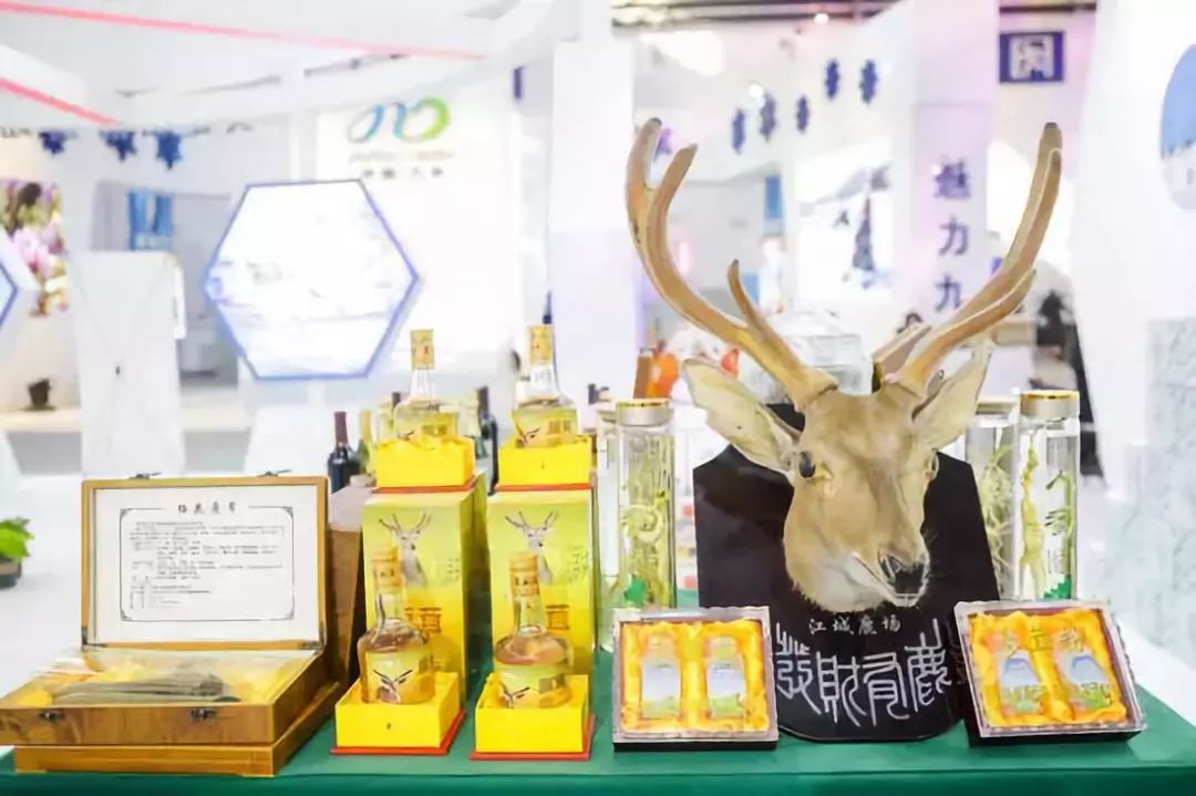 长春雪博会什么时间,雪博会冰雪丝路视频