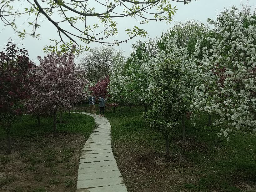 我眼中的美好城市,我眼中的城市是最美的