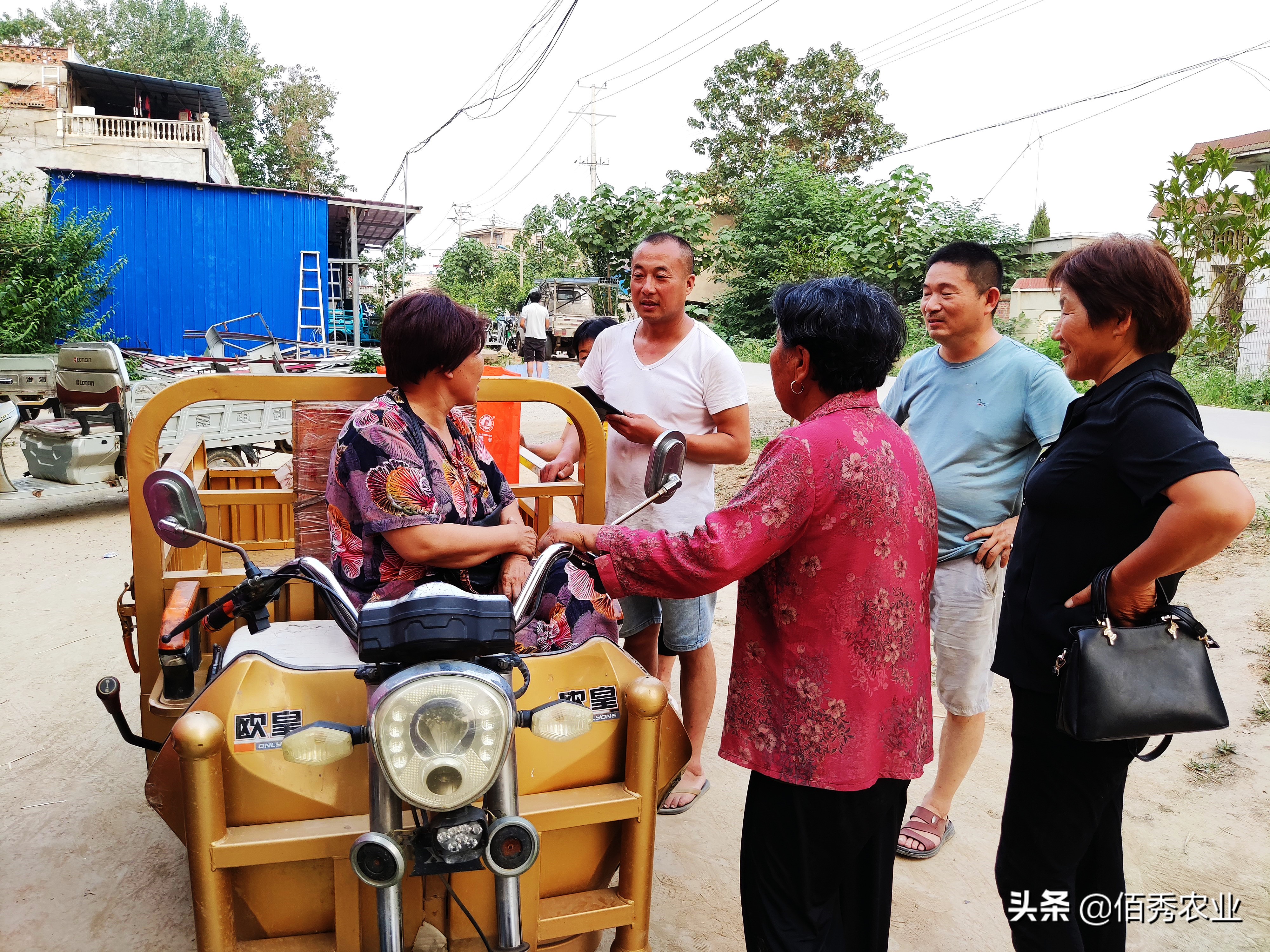 种玉米施哪种肥料不影响种子,农民种麦子玉米每亩挣多少钱