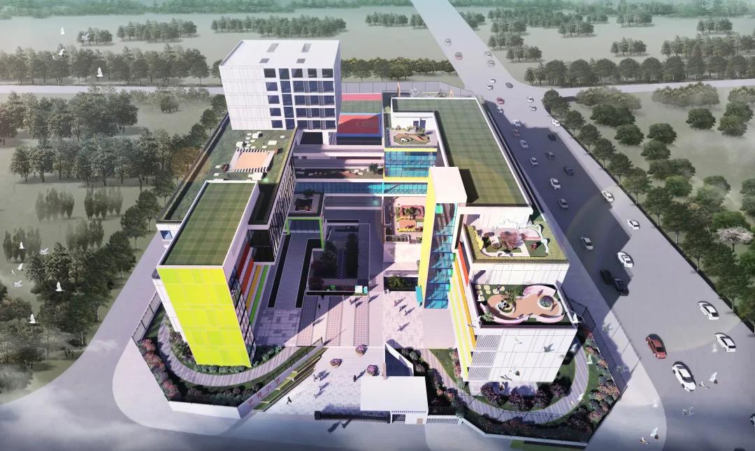 深圳龙华2019公办招生情况,深圳龙华区学校招生方案