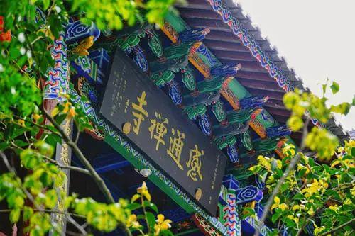 苍山徒步最全攻略｜夏末秋初去大理，苍山碧*欲色**流，洱海烟波浩渺