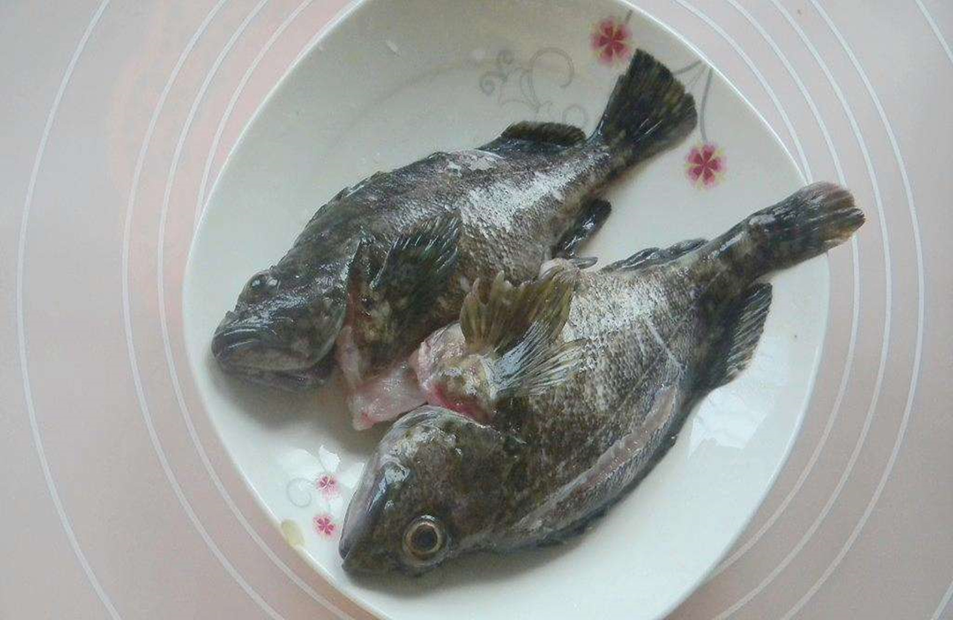 溪流石斑好钓点位置广东清远,小型水库钓溪石斑如何选钓点