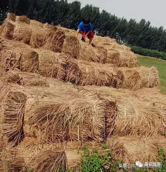 亲子农乐园投资,亲子农乐园经营模式