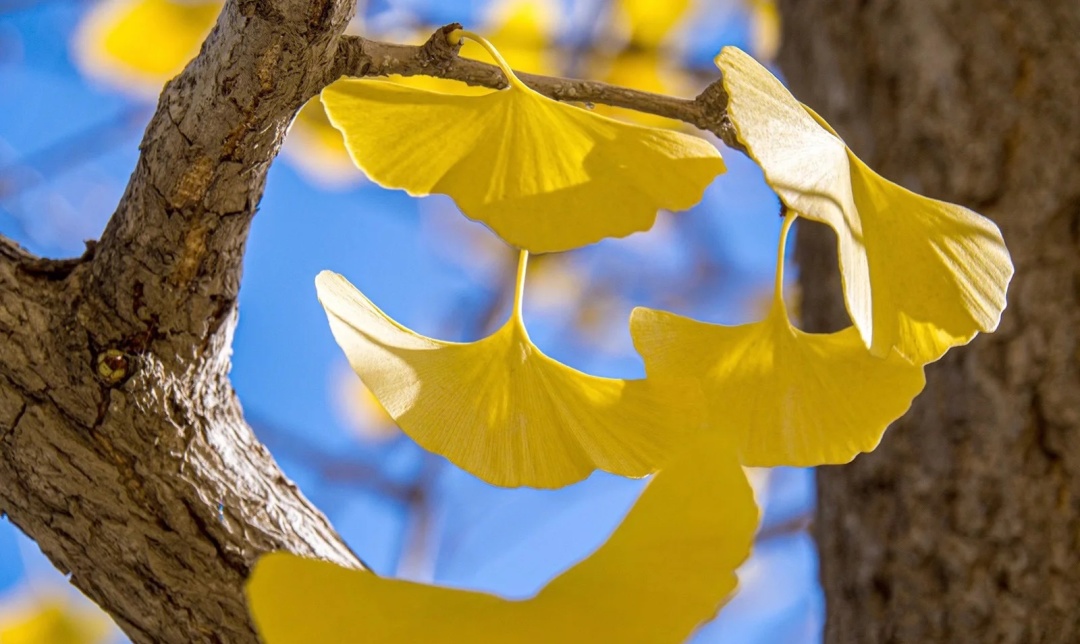 如何查询对方名下的车子房子,如何调取对方名下财产