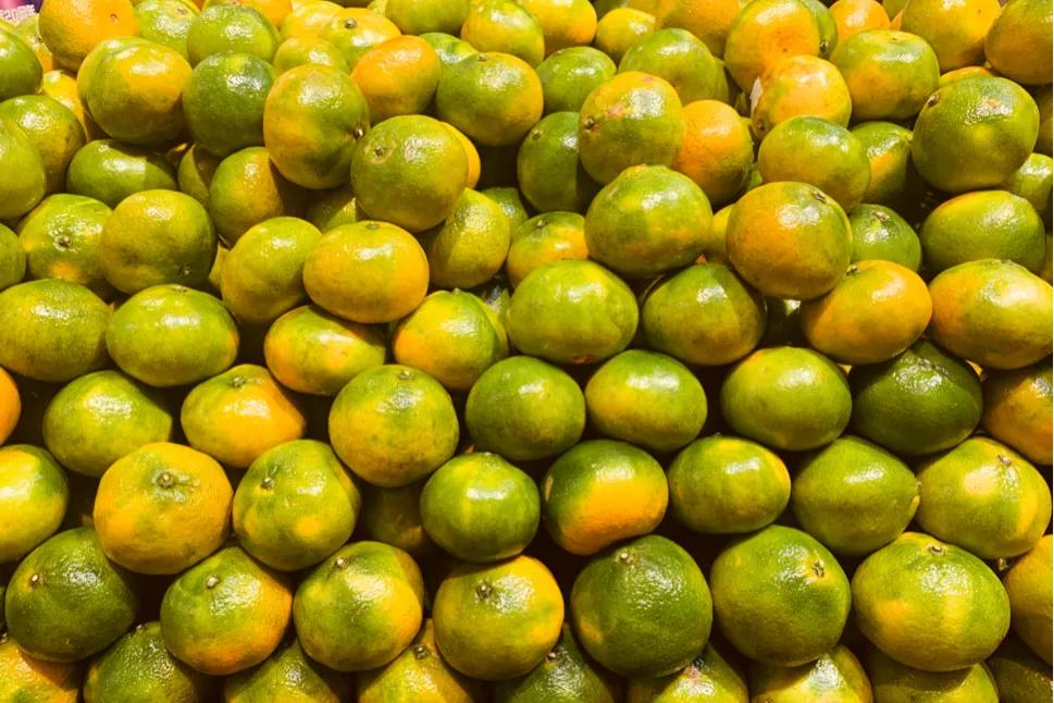 买桔子要挑“扁”的吃，学会这5招，不管哪个品种，都味甜水分足