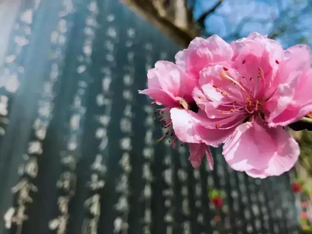 春节游玩攻略正式上线,春节嗨玩攻略