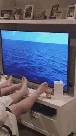 英国首相得新冠是真的吗,英国首相新冠反应