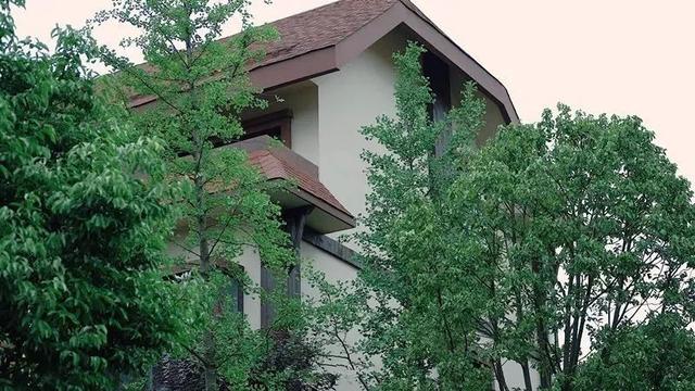 不当环球小姐，她跑到深山，种菜、调香，过上佛系人生