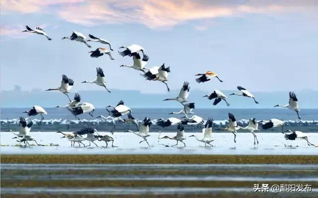 遇见美丽水乡,鄱阳鄱阳湖