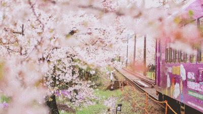 冬季最热门的旅游地,冬季十大必去旅行地