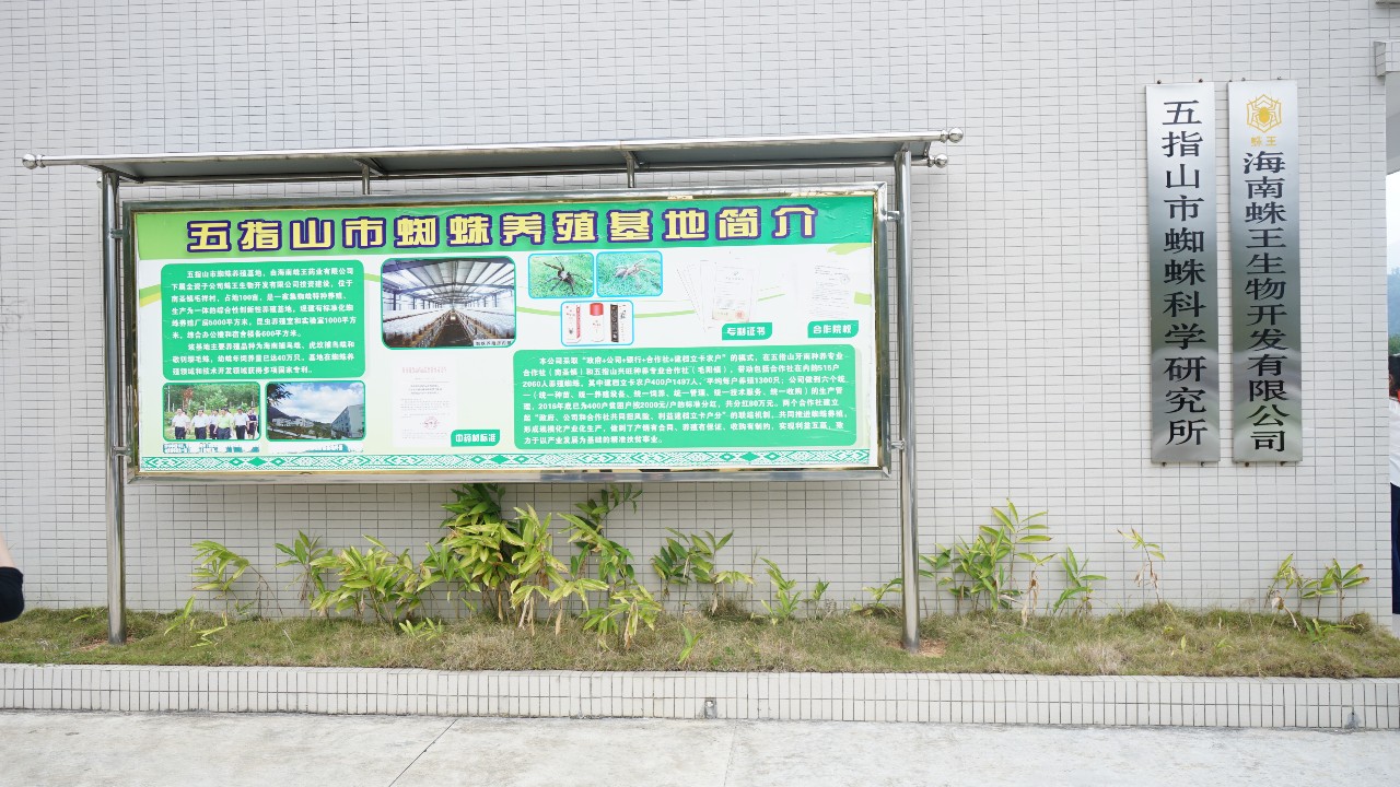 调研联盟,联合调研乡村振兴