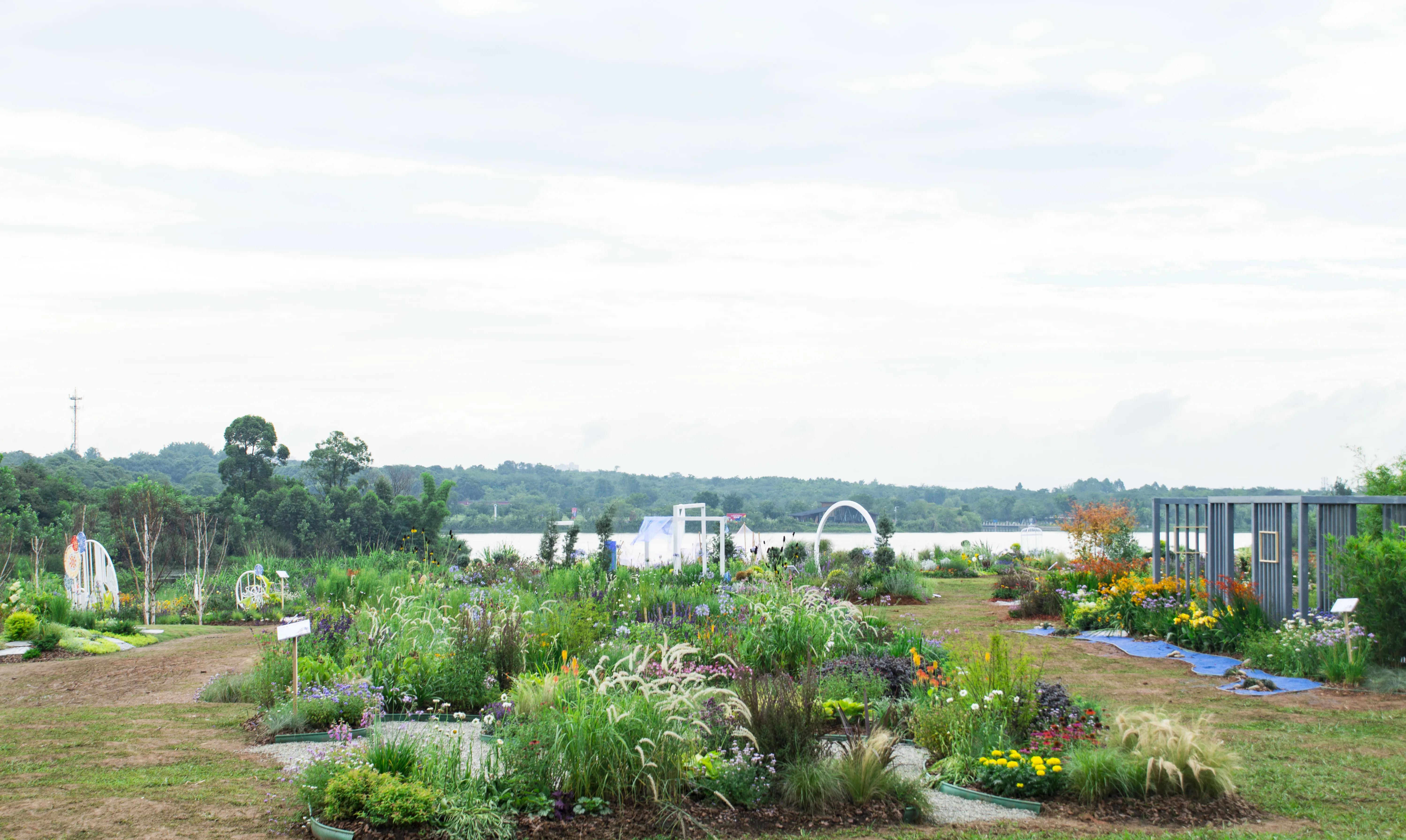 龙泉十陵航拍,龙泉驿区十陵