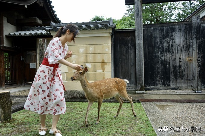 「连载」8天自由行,在东京与关西体验别样岛国风情-大阪(完结)