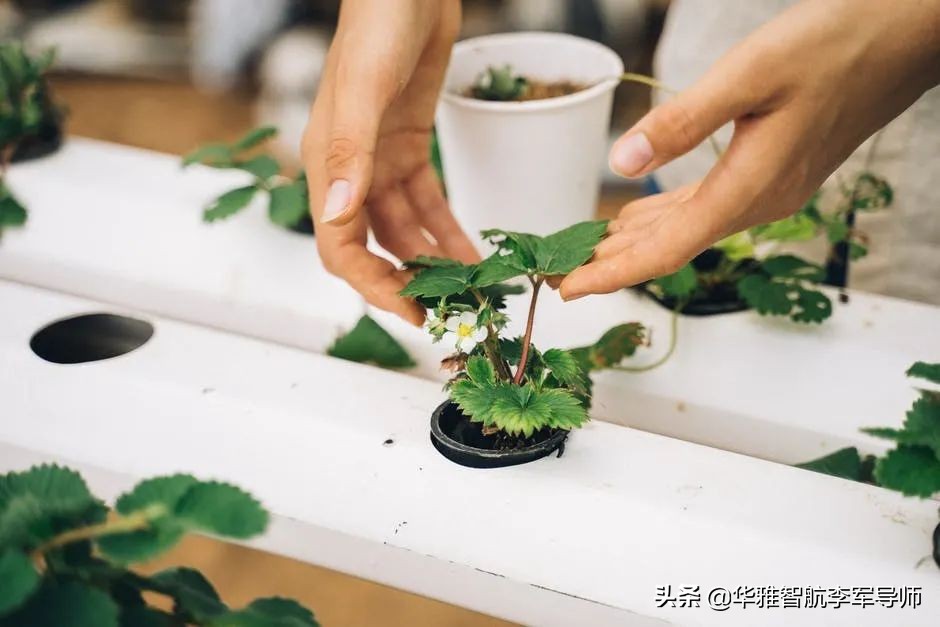 高三孩子老是静不下心学习咋办,孩子很磨蹭不起床上学怎么办