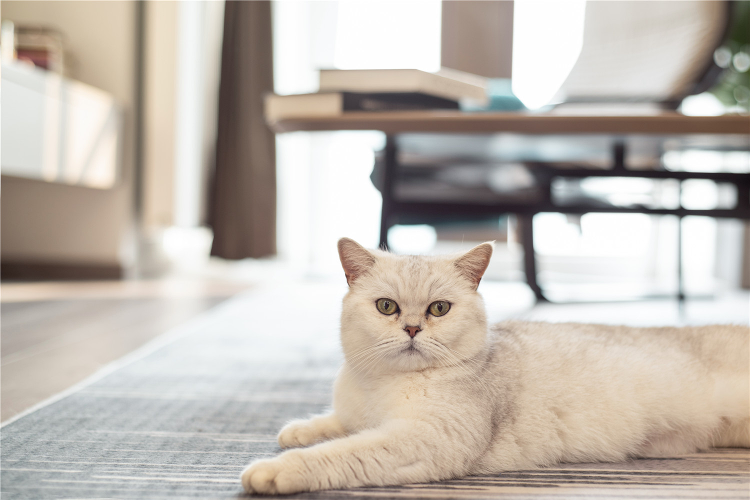 小卧室悬空电视柜效果图大全,悬空电视柜效果图大全简约风格