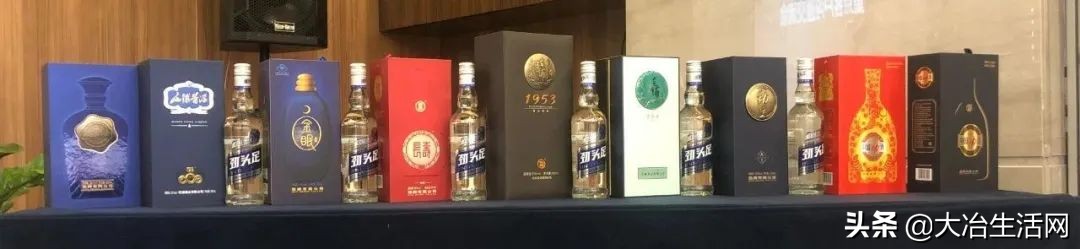 新发展新机遇新希望,新希望迎来新机遇