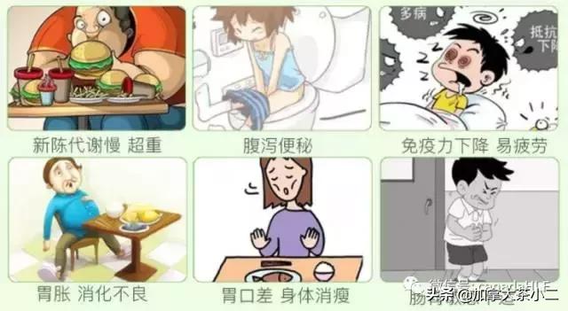 costco必买保健品价格分别是多少,不吹不黑分享真实感受