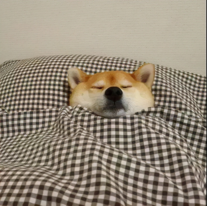 早上起不来做什么工作合适,早上起不来不妨试试这套动作