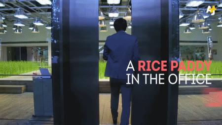 深圳市有梦想城市,深圳有梦想的城市