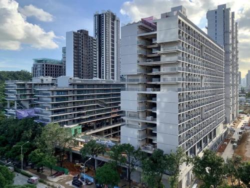 为什么考深国交,深国交与四大哪个难考