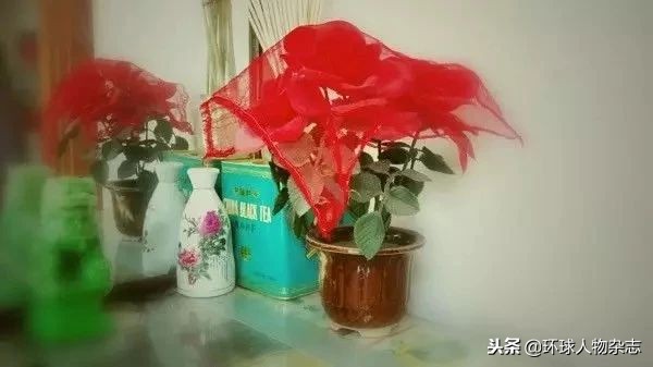 白银连环杀手案,白银杀手连环案