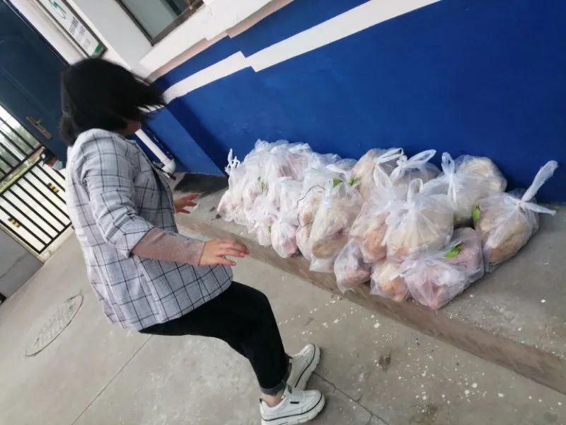 固阳县金山镇新时代文明实践,喜报固阳县文明创建再添荣誉