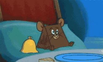 twice女团品牌大全,女团同款twice