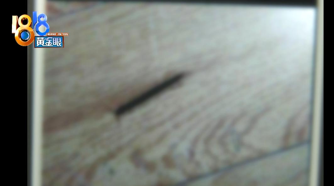 北京出租屋里有小虫子,出租屋全是虫子能退租吗