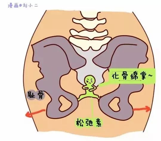 太牛了！120分钟，让你收紧2到5厘米！3次重塑自然美！