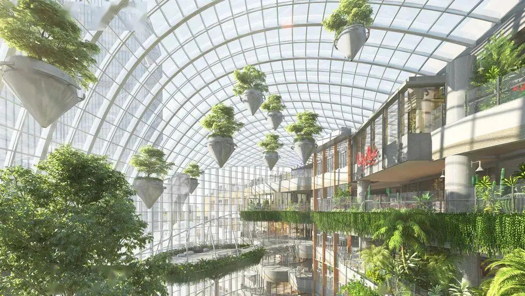 照母山讲解,照母山深度解读