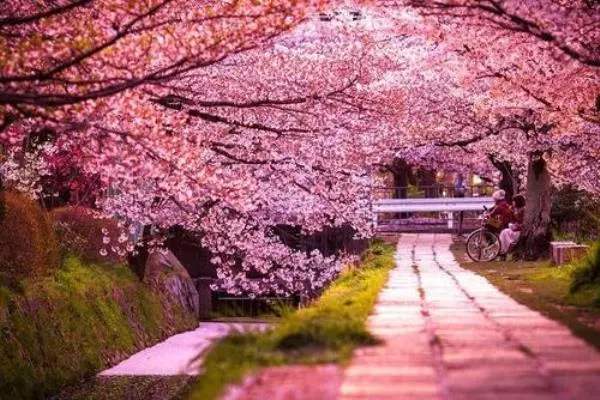 是的你没看错英文,是的你没看错英语