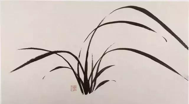 如何画兰花最好看的,君子兰花如何画