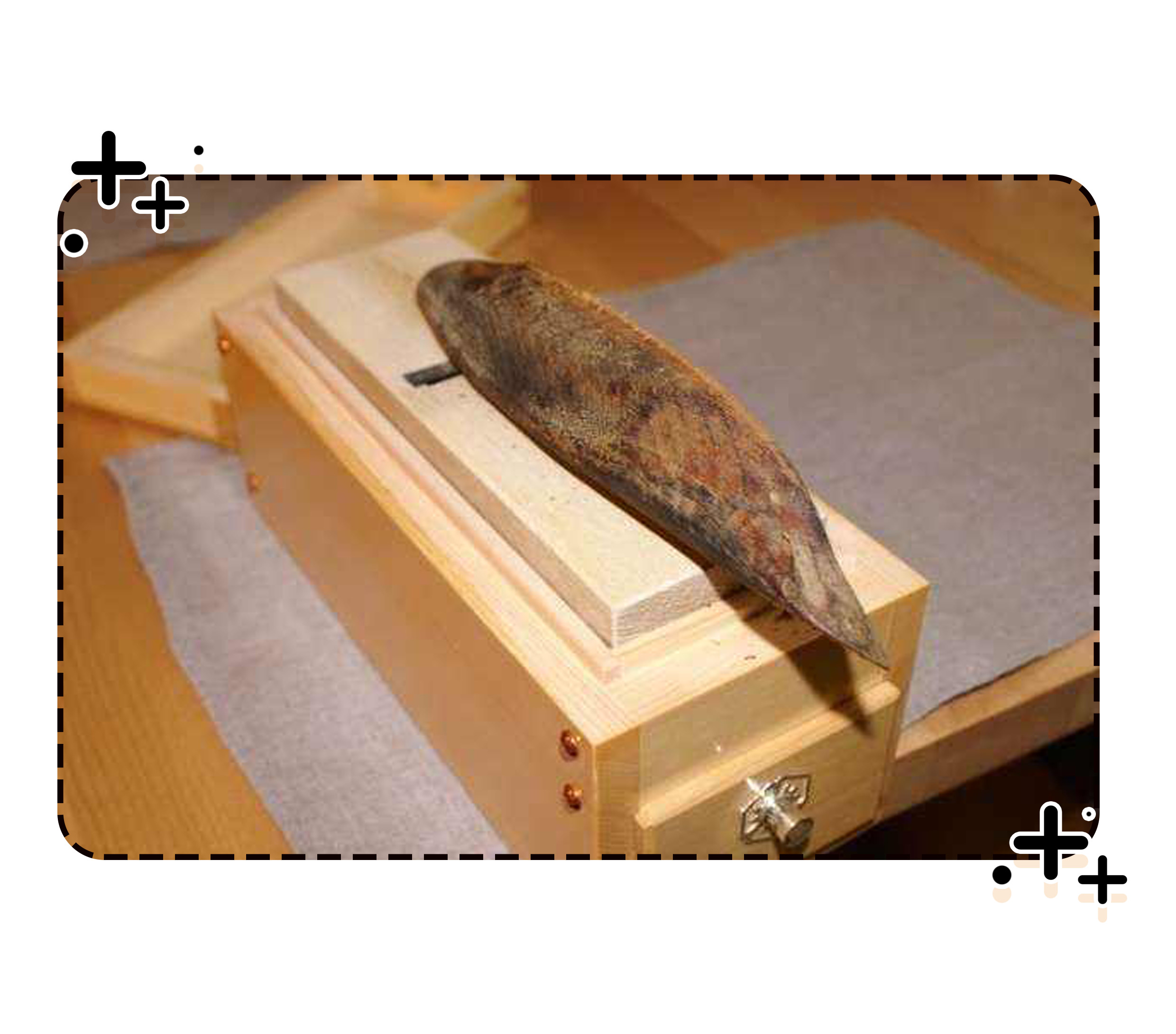 世界上最硬的食物柴鱼,世界上最费劲的食物