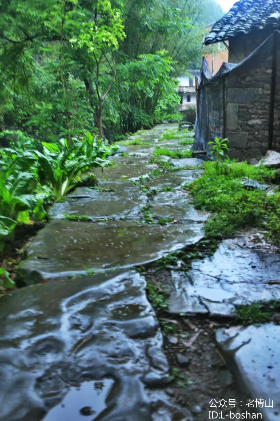 秋风起乌桕红,秋风起刘禹锡