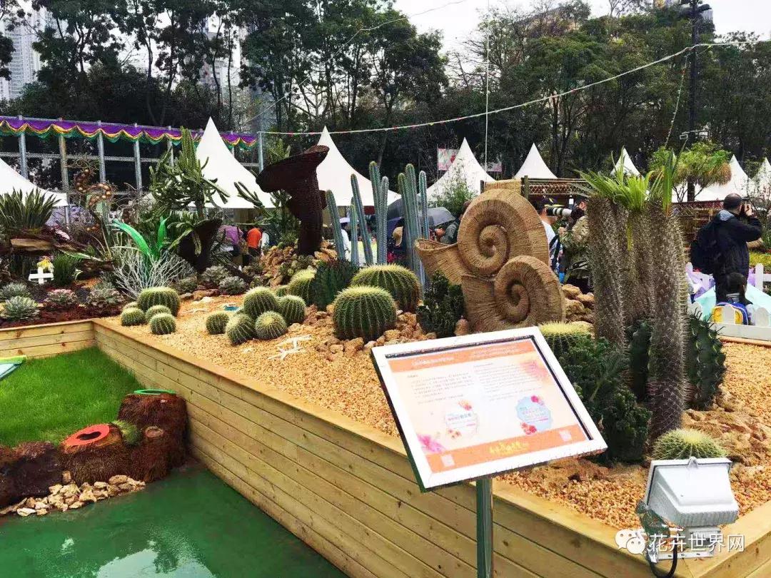 香港花卉艺术展,共赴盛会活动