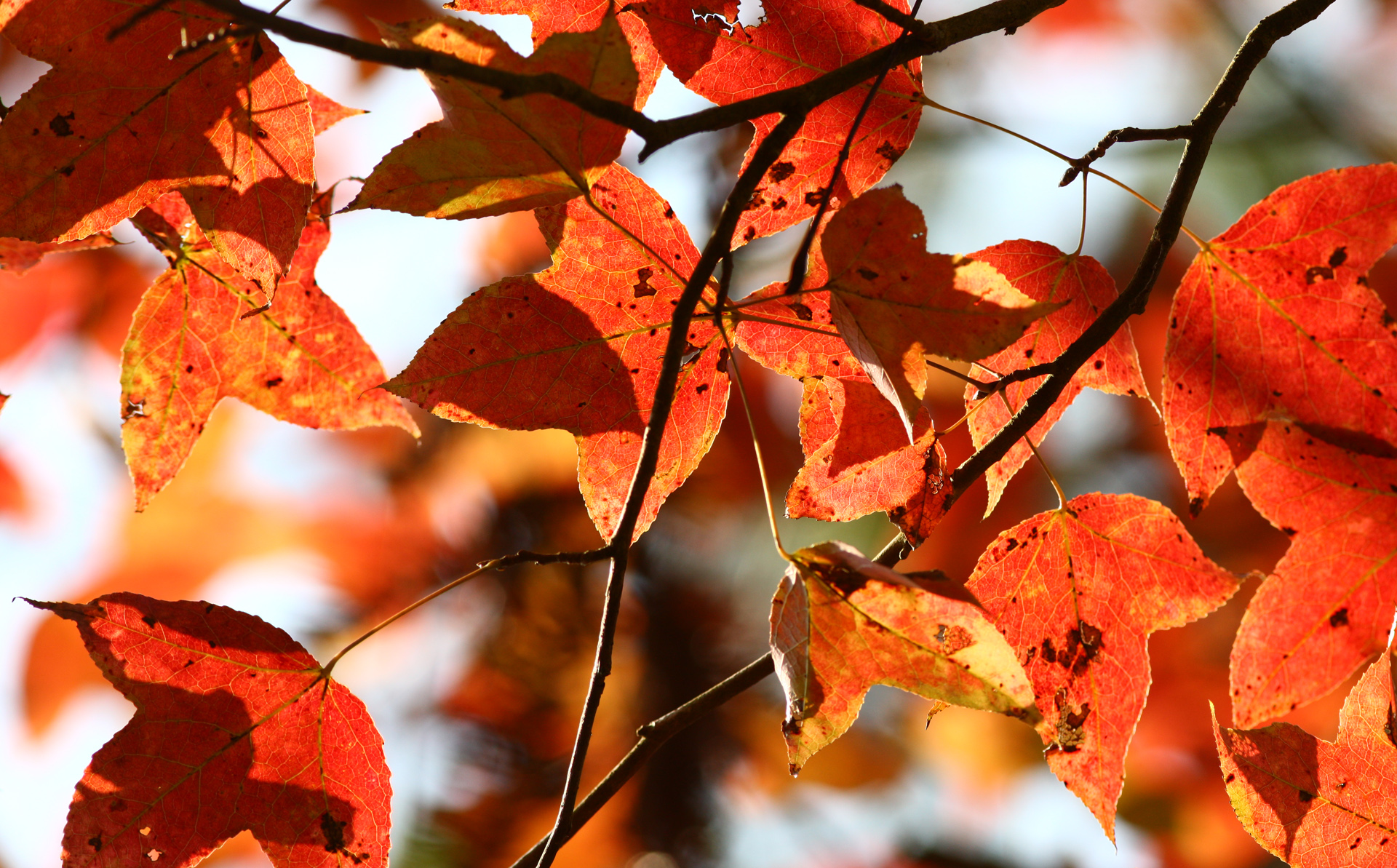 佳能1dsmark3还值得买吗,ds时代