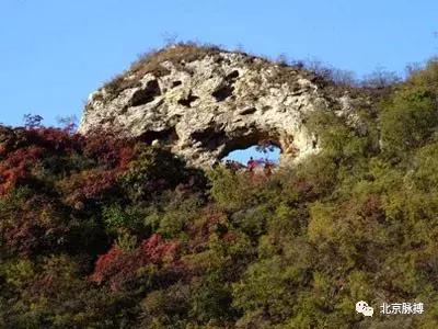 画说回龙观,北京最漂亮的森林公园