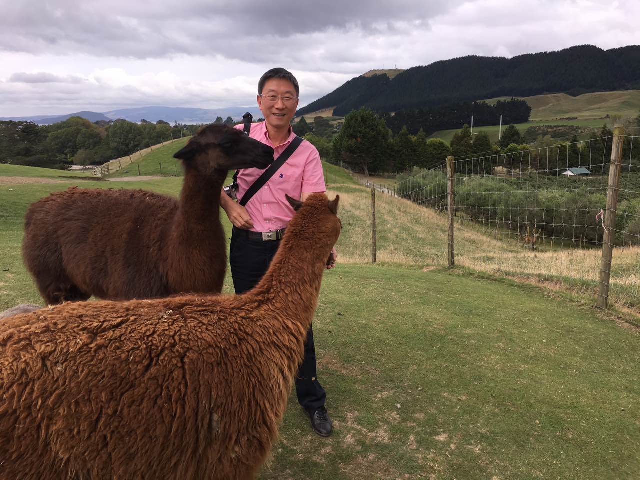 新西兰天然农场,成都新西兰牧场