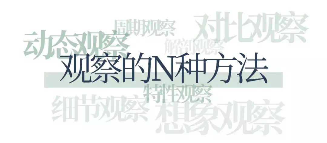 植物学第一次实验体会,植物学实践课