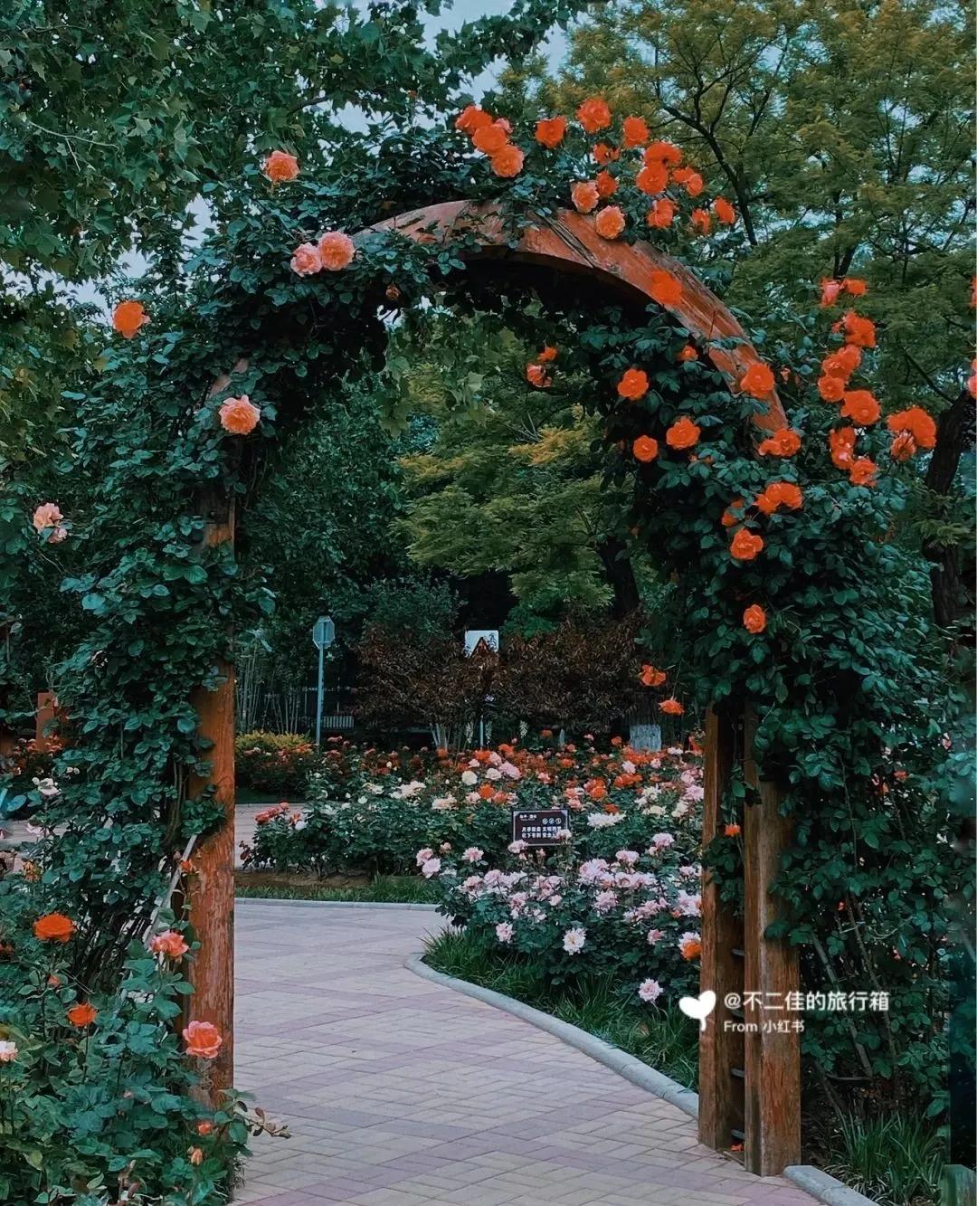 私藏拍照最好的地方,天津适合拍照又安静的地方