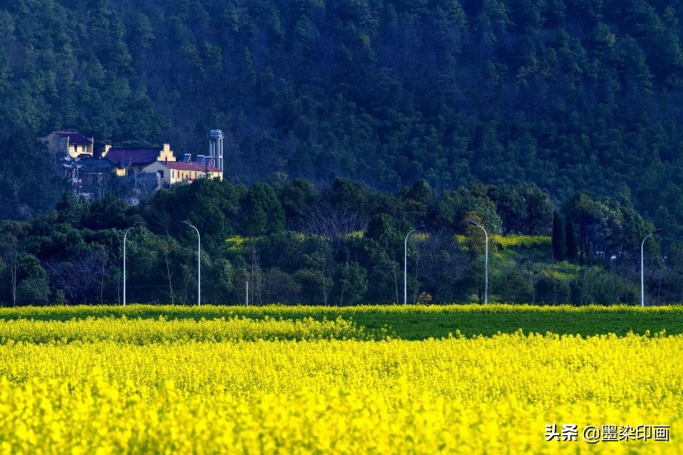 清明节拍摄风景图片,清明节全家踏青照片如何拍摄